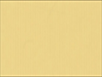 HB5112 ソフトオレンジ（ツヤ消）