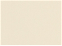 HB5608 ナチュラルベージュ（ツヤ消）