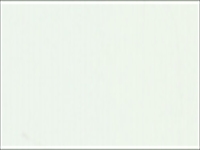 HB5648 ライトグリーン