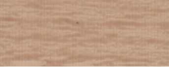 1005_ライトモカ